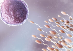 intracytoplasmic_sperm_injection_img